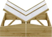 vidaXL Estufas 2 pcs 100x50x35 cm madeira de pinho impregnada