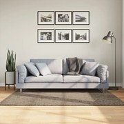vidaXL Tapete de pelo alto aspeto brilhante ISTAN 120x170 cm cinzento