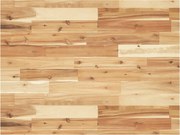 vidaXL Tampo p/ móvel de WC 100x60x4cm acácia maciça acabamento a óleo