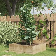 vidaXL Suportes p/ plantas de jardim c/ 3 anéis 5 pcs 75 cm aço verde