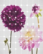 Papel Parede 6006A-VD2 Flowers &amp; Dots