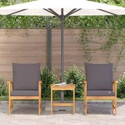 Conjunto de Lounges de Jardim em 3 Peças com Almofadas em Madeira de Acácia Sólida