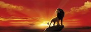 Papel Parede The Lion King 1-418