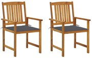 vidaXL Cadeiras de jardim com almofadões 2 pcs acácia maciça