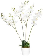 HOMCOM Orquídea Artificial Branca Decoração Elegante Lar Ø16,5x75cm | Aosom Portugal