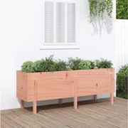 vidaXL Canteiro elevado de jardim 160x50x57 cm madeira douglas maciça