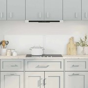 vidaXL Painéis anti-salpicos de cozinha 2 pcs 80x40 cm vidro temp.