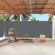 vidaXL Toldo lateral retrátil 220x1000 cm antracite