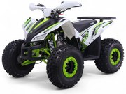 Mini Moto 4 gasolina para crianças automática 125cc Roan Coyote R8 Ecrã digital e com e marcha-atrás Verde