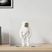 vidaXL Caixa expositora transparente 40x36x35 cm acrílico