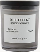 Vela perfumada Deep Forest (laranja, rosa branca, madeira de cedro & patchouli)