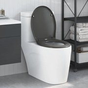 vidaXL Assento de Vaso Sanitário Antracite 47 x 37 x 4 cm Duroplast
