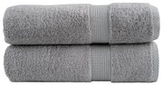 vidaXL Toalhas de banho premium SOLUND 2pcs 100x150cm 600gsm cinzento