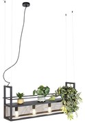 Candeeiro de suspensão industrial preto com malha 4 luzes - Cage Rack