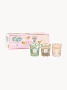 Velas perfumadas artesanais My First Baobab, conjunto de 3