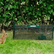 Armadilha para Animais Vivos com Porta Gaiola de Captura com Alça de T