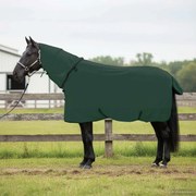 vidaXL Cobertor de Cavalo Verde escuro total Poliéster