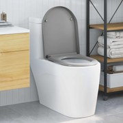vidaXL Assento de Vaso Sanitário Cinzeto 49 x 36 x 4 cm Duroplast