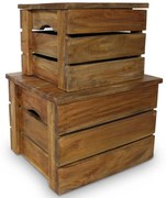 vidaXL Conjunto de caixas de arrumação 2 pcs madeira de mogno maciça