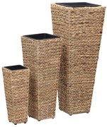 vidaXL Vasos/floreiras 3 pcs jacinto de água castanho