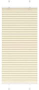 vidaXL Creme Plissada Cega 55x150 cm Largura Tecido 54,4 cm Poliéster