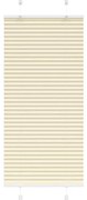 vidaXL Creme Plissada Cega 65x100 cm Largura Tecido 64,4 cm Poliéster