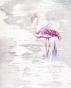 Papel Parede 6007A-VD2 Pink Flamingo