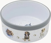 Taça para animais de estimação Dog