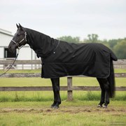 vidaXL Cobertor de Cavalo Verde Escuro e Preto 75 cm Poliéster