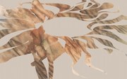 Papel Parede 6040A-VD4 Autumn Leaves