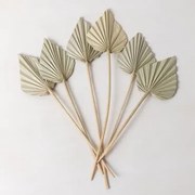 Pacote Com 6 Galhos Secos Decorativos Beliefe Verde Bambu - Sklum