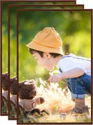 vidaXL Molduras para parede ou mesa 3 pcs 70x90 cm MDF cor bronze