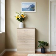 Armário para sapatos com 2 compartimentos de 24 x 60 x 83,5 cm cor de carvalho