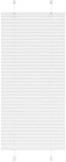 vidaXL Branco Plissada Cega 55x100 cm Largura Tecido 54,4 cm Poliéster