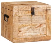 vidaXL Caixa de Armazenamento Castanho Madeira de manga maciça