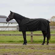 vidaXL Cobertor de Cavalo Verde Escuro e Preto 75 cm Poliéster