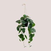 Planta Suspensa Artificial Decorativa Pothos Verde Escuro - Sklum