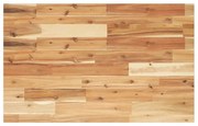 vidaXL Tampo p/ móvel de WC 100x50x2cm acácia maciça acabamento a óleo