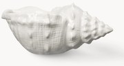 Taça em dolomite Awa