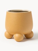 Vaso Olea, Alt 26 cm