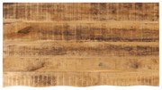 vidaXL Tampo de mesa borda viva 100x60x2,5 cm mangueira áspera maciça