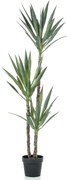 Emerald Yucca artificial em vaso 150 cm