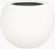 Vaso Kenslia
