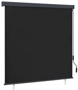 vidaXL Estore de rolo para exterior 160x250 cm antracite