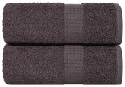 vidaXL Toalhas de rosto 2 peças FROGN Antracite 30x30 cm 100% algodão