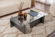 Mesa de Centro Flavio – Antracite – 105x30x65 cm