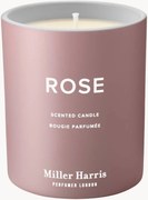 Vela perfumada Rose (absoluto de rosa turca, groselha-preta, almíscar de caxemira)
