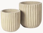 Vasos Fiber, conjunto de 2