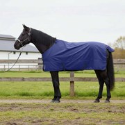 vidaXL Cobertor de Cavalo Verde Escuro e Preto 75 cm Poliéster