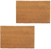 vidaXL Tapetes de porta em fibra de coco 2 pcs 24 mm 40x60 cm natural